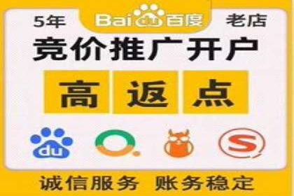 百度推广平台：从传统到数字营销的转型案例